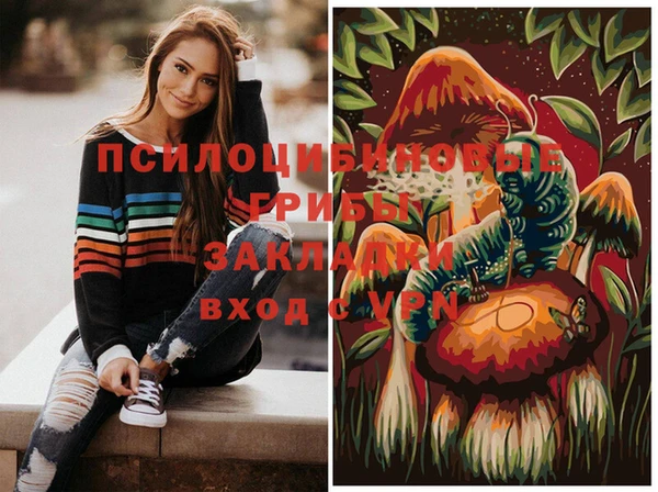 метамфетамин Белокуриха