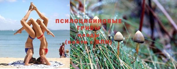 гашик Беломорск